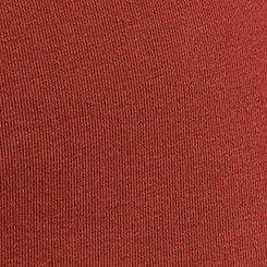 Full-Length Legging, ROASTED RUSSET, swatch