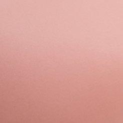 Plus Size Bombshell Everyday Strapless Push-Up Bra, ASH ROSE, swatch