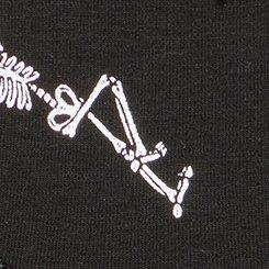 Cotton Mid-Rise Hipster Panty, POSE SKELETONS RICH BLACK SILVER FOIL, swatch