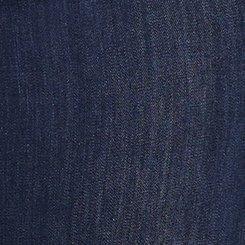 Plus Size Jegging Skinny High-Rise Jean, ALCHEMY, swatch