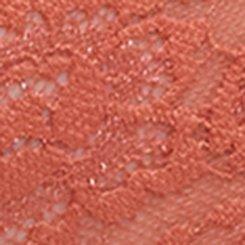 Simply Lace Mid-Rise Cheeky Panty, ARAGON, swatch