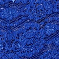 Mid-Rise Simply Lace Cheeky Panty, BLUEING, swatch