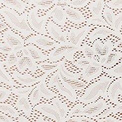 4-Way Stretch High-Rise Lace Panty, CLOUD DANCER, swatch