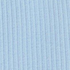 Plus Size Seamless Rib High-Rise Brief Panty, CHAMBRAY BLUE, swatch