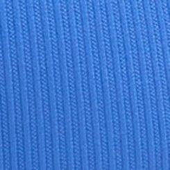 Seamless Ribbed High-Rise Brief Panty, REGATTA, swatch