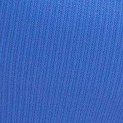 Seamless Ribbed High-Rise Thong Panty, REGATTA, swatch