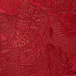 Floral Lace High-Rise Brief Panty, RHUBARB, swatch
