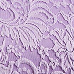 Plus Size Midi Lace Fit And Flare Dress, LILAC, swatch
