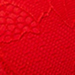 Plus Size XO Plunge Push-Up Front-Close Bra, FLAME SCARLET, swatch