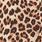 Plus Size Second Skin Mid-Rise Cheeky Panty, FIFTIES LEOPARD BEIGE, swatch