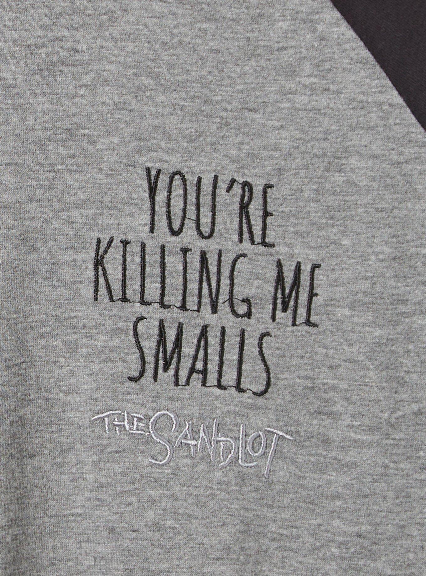 The Sandlot Classic Fit Cotton Raglan Long Sleeve Tee , MEDIUM HEATHER GREY, alternate