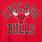 NBA Chicago Bulls Cozy Fleece Crew Neck Sweatshirt, JESTER RED, swatch