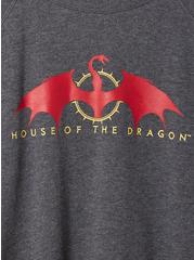 Plus Size Warner Bros. House of the Dragon Classic Fit Cozy Fleece Sweatshirt, GREY, alternate