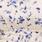 Rayon Slub Waist Detail Blouson Sleeve Top, WHITE FLORAL, swatch
