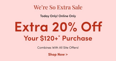 Promotional banner with pink background. Text reads We’re So Extra Sale. Today Only! Online Only. Extra 20% Off Your 120 dollars or more purchase. Combines With All Site Offers! Shop Now.