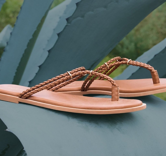A close-up product shot of a pair of tan flat thong sandals resting on a teal painted surface surrounded by large blue-gray agave plant leaves with greenery visible in the background. The sandals feature three braided tan straps across the toe with small gold ring hardware accents, a thin toe post, and a smooth tan leather footbed with a light beige sole.
