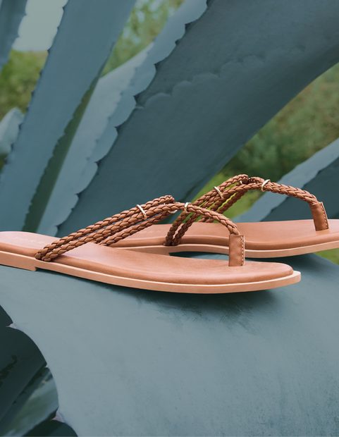 A close-up product shot of a pair of tan flat thong sandals resting on a teal painted surface surrounded by large blue-gray agave plant leaves with greenery visible in the background. The sandals feature three braided tan straps across the toe with small gold ring hardware accents, a thin toe post, and a smooth tan leather footbed with a light beige sole.