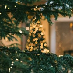 A close-up of dark green pine branches filling the foreground, strung with small warm white fairy lights. Behind them, a second lit tree is thrown out of focus into a cluster of soft golden bokeh circles. Beyond that, a blurred interior wall and a pale doorway or fireplace are just visible in warm dim light. There are no people, text, or other objects in the image.