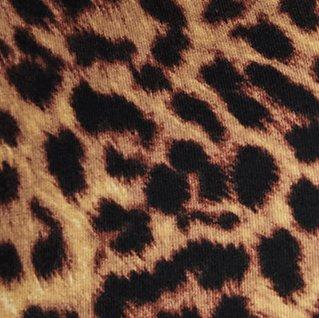 Plus Size 11'' Signature Waist Pocket Bike Short, ON THE PROWL LEOPARD MULTI, swatch