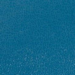 Plus Size Sunnie Flip Flop (WW), LEGION BLUE, swatch