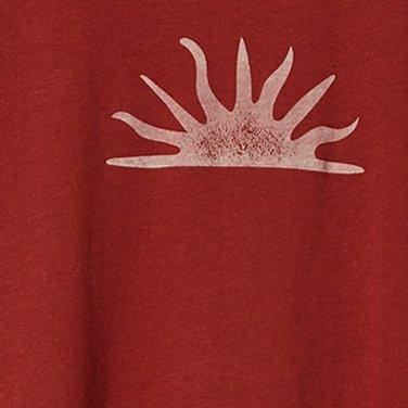 Plus Size Sun Rays Classic Fit Cotton Crew Neck Ringer Tee, BROWN, swatch