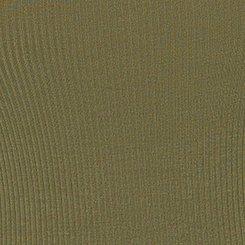 Plus Size Fitted Super Soft Rib Notch Neck Tank, OLIVINE, swatch