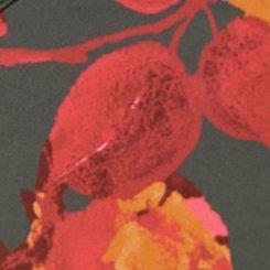 Plus Size XO Plunge Push-Up Bra, PAINTED RETRO ROSE FLORAL, swatch