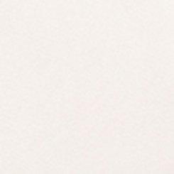 Canvas Raglan Chore Jacket, PRISTINE, swatch