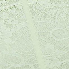 Lace Corset Crop Top, SMOKE GREEN, swatch