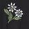 Skull Daisy Embroidered Girlfriend Classic Fit V-Neck Tee, DEEP BLACK, swatch