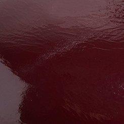 Plus Size T-Strap Mary Jane Heel (WW), BURGUNDY, swatch