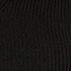 Fitted Ribbed Polo Sweater, DEEP BLACK, swatch