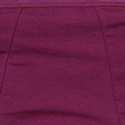 Leakproof Cotton Mid Rise Hipster Panty, PLUM CASPIA, swatch