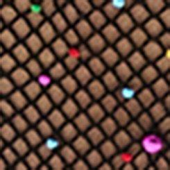 Rhinestone Fishnet Tights, RAINBOW, swatch