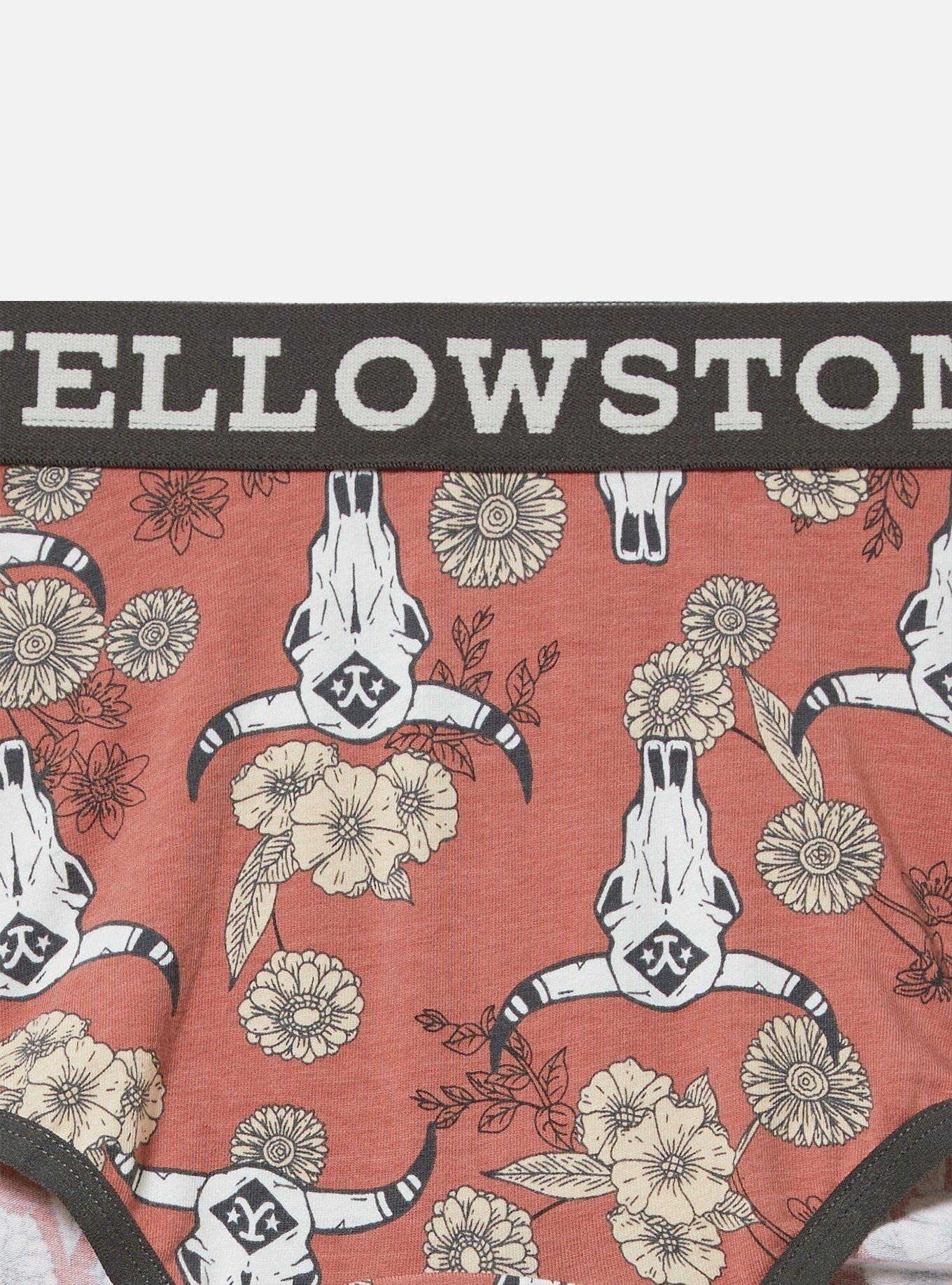 Yellowstone Mid Rise Cotton Cheeky Panty