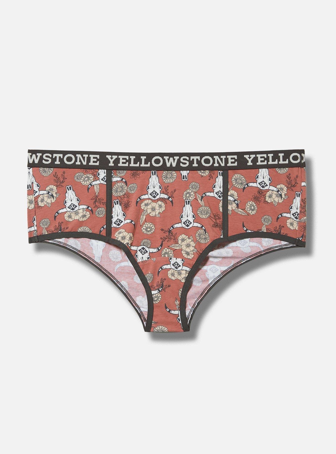 Yellowstone Mid Rise Cotton Cheeky Panty