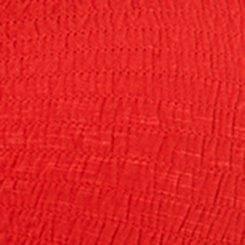 Plus Size Super Soft Slub Smocked Babydoll Top, ADRENALINE RUSH, swatch