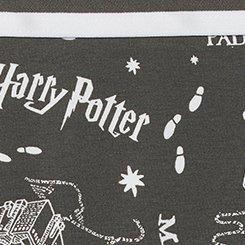 Harry Potter Map Mid-Rise Cotton Brief Panty, MULTI PRINT, swatch