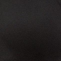 Plus Size Sheer Play Seamless Plunge Bralette, RICH BLACK, swatch