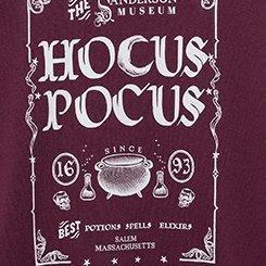 Plus Size Hocus Pocus Classic Cozy Fleece Raglan Sweatshirt, POTENT PURPLE, swatch