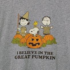 Peanuts Pumpkin Classic Fit Cotton Crew Tee, MEDIUM HEATHER GREY, swatch