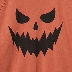 Plus Size Pumpkin Classic Cozy Fleece Raglan Sweatshirt, ARAGON, swatch