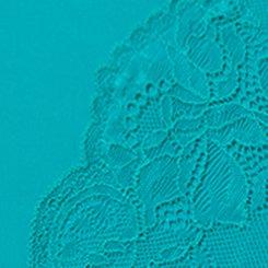 Plus Size Mid-Rise Microfiber Lace Hipster Panty, LAPIS, swatch