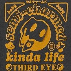 Third Eye Blind Classic Fit Cotton Crew Tee, VINTAGE BLACK, swatch