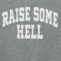 Raise Hell Classic Cozy Fleece Raglan Sweatshirt, HEATHER GREY, swatch