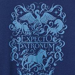 Harry Potter Classic Fit Cotton Long Sleeve Raglan Ringer Tee, MEDIEVAL BLUE, swatch