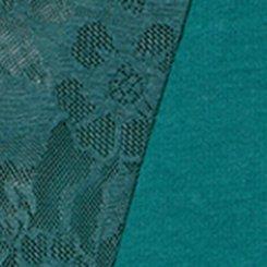 Plus Size Leakproof Cotton & Lace Mid-Rise Brief Panty, JUNE BUG, swatch