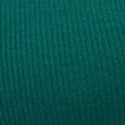 Ribbed Henley Varsity Long Sleeve Top, BOTANICAL GARDEN, swatch