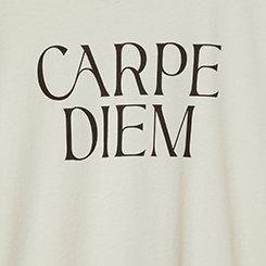 Carpe Diem Heritage Jersey Classic Fit Cotton Crew Tee, DESERT SANDSTONE, swatch