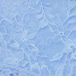 Aria Lace Cheeky Panty With Open Gusset, HYDRANGEA, swatch